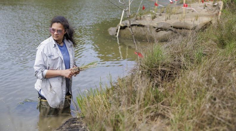 A student stands in the water in a wetlands marsh.